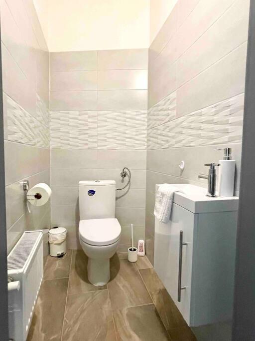 D3 Basilica Luxury Spacious Free Parking For 1 Car 부다페스트 외부 사진