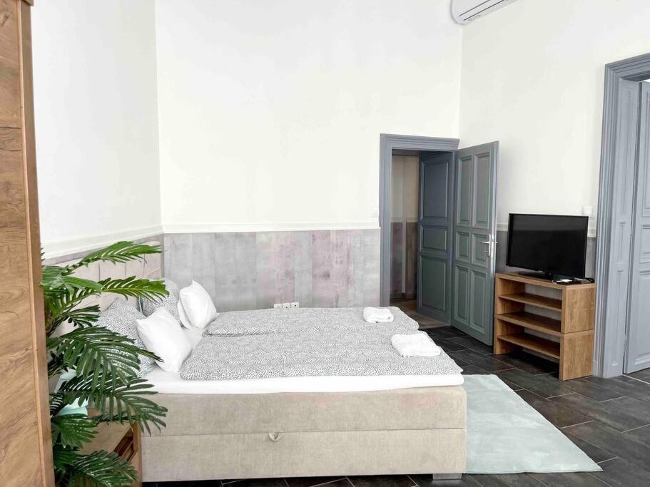 D3 Basilica Luxury Spacious Free Parking For 1 Car 부다페스트 외부 사진