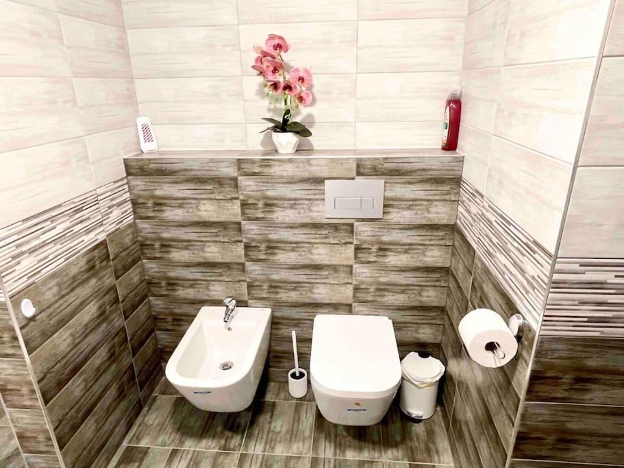 D3 Basilica Luxury Spacious Free Parking For 1 Car 부다페스트 외부 사진