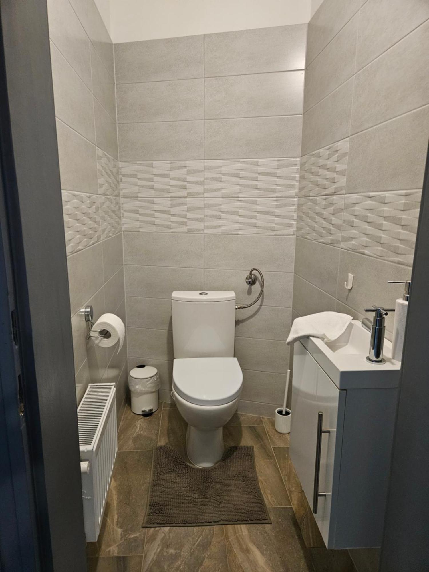 D3 Basilica Luxury Spacious Free Parking For 1 Car 부다페스트 외부 사진